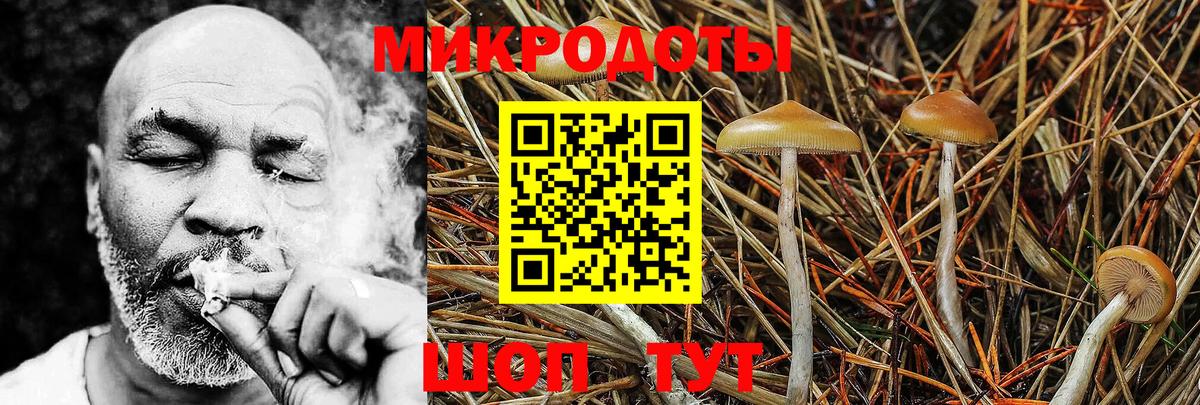 Галлюциногенные грибы прущие грибы  Вход с VPN  Изобильный  Галлюциногенные грибы Cubensis 
