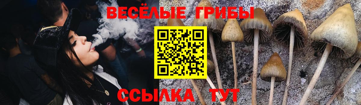 Псилоцибиновые грибы Magic Shrooms Изобильный